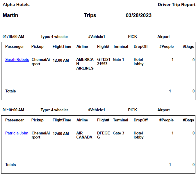 A screenshot of a travel report

Description automatically generated